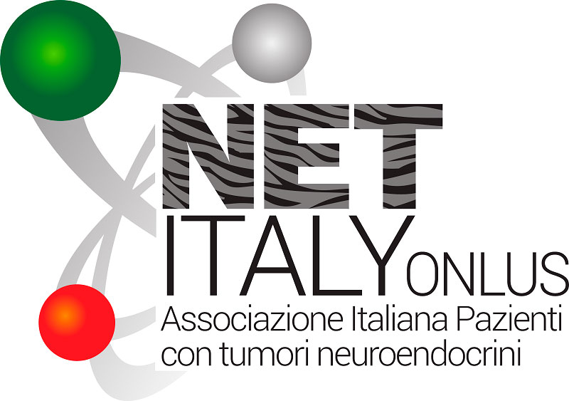 NET Italy logo